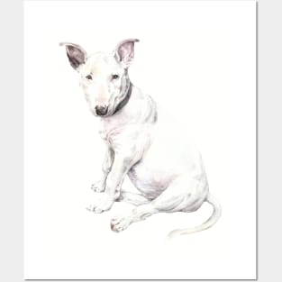 Watercolor Bull Terrier Dog Pet Portrait Posters and Art